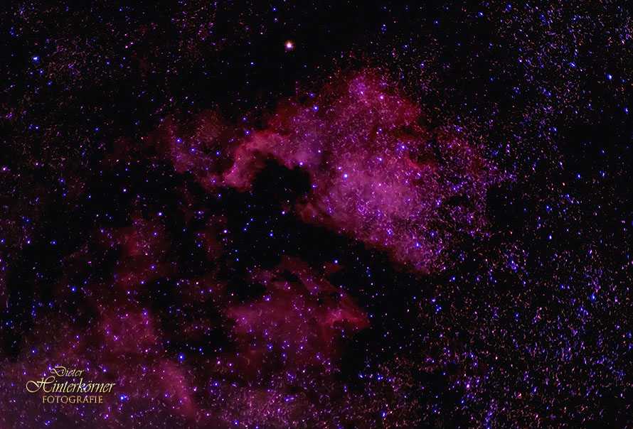 Nordamerikanebel und Pelikannebel NGC 7000